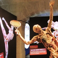 Visita de Estudo ao Museu da Farmácia e Exposição do Corpo Humano.